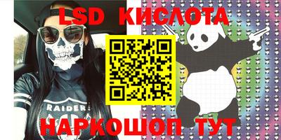 прущие грибы Кунгур