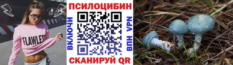 Галлюциногенные грибы MAGIC MUSHROOMS  купить наркотик  Евпатория 