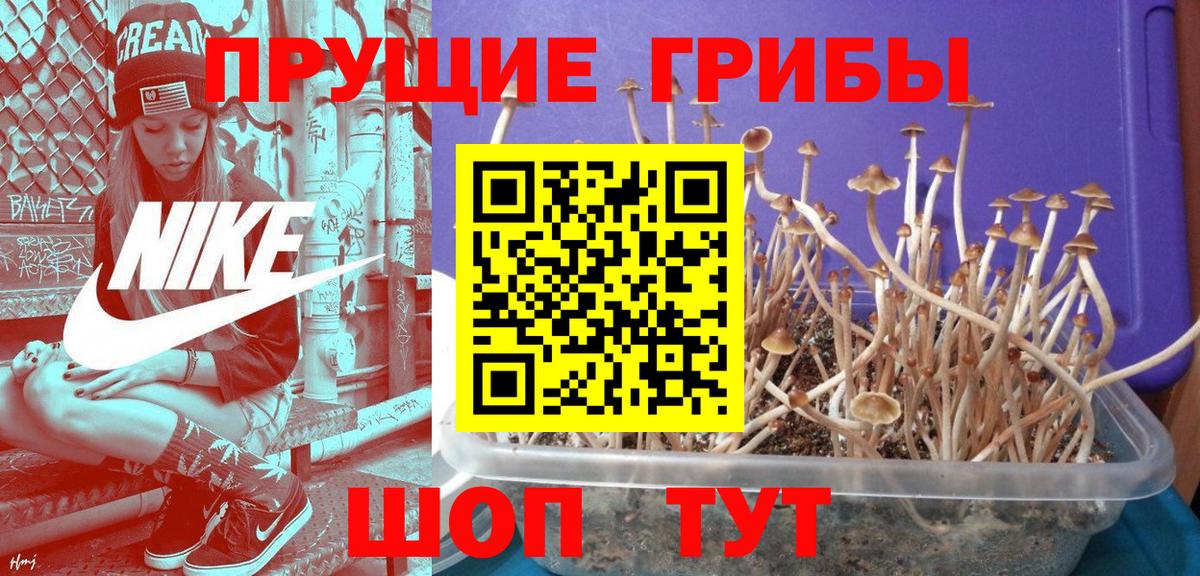 Псилоцибиновые грибы Magic Shrooms Евпатория