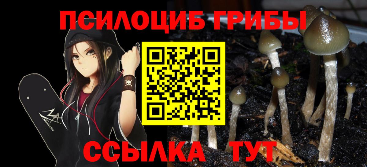 Евпатория  Псилоцибиновые грибы Psilocybine cubensis  Вход с VPN 